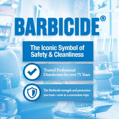 BARBICIDE Disinfecting Wipes - EPA-Registered Broad Spectrum Disinfectant wipes for Salon and Home | 160 Count (Pack of 1)