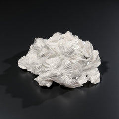 Pedicure liner | 800 Pcs | Disposable Liners For Massage Chair - Blue/clear