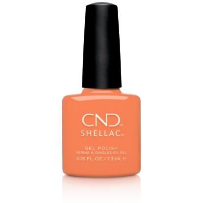 CND - Shellac #212 | Catch Of The Day