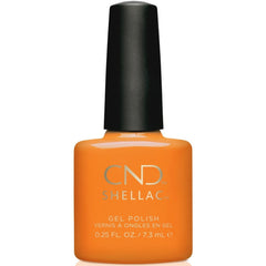 CND - Shellac #047 - 1 | Gypsy