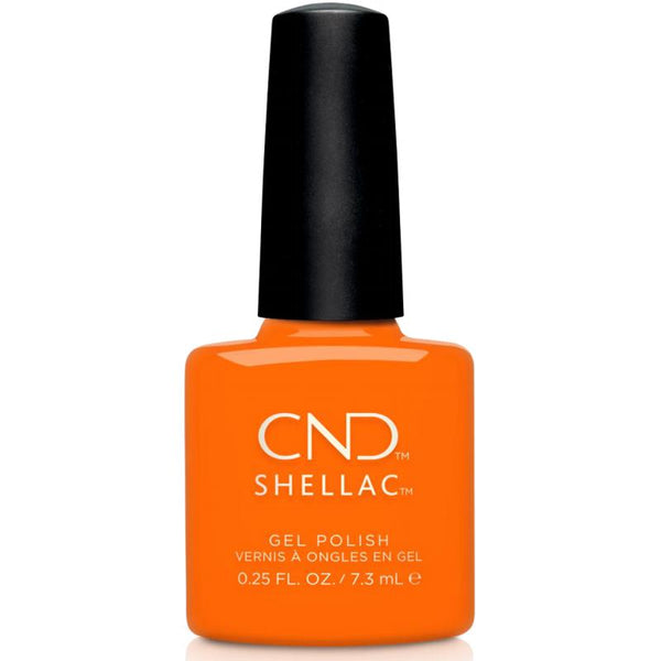 CND - Shellac #237 | Possible Picnic