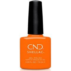 CND - Shellac #237 | Possible Picnic